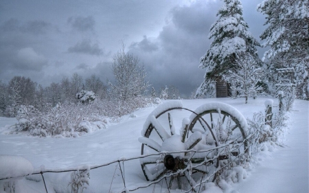 Winter - nature, farm, wheels, snow, fog, winter, weather, mist