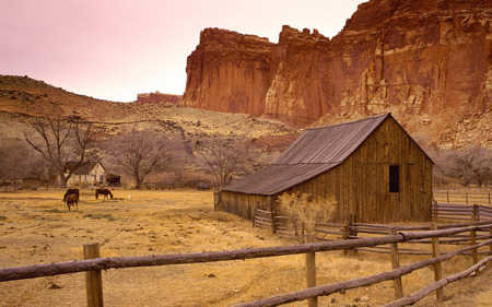 FARM HOUSE - horses, fence, farm, sandy, dry, wooden, house, rocky