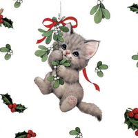 JOYFUL KITTY