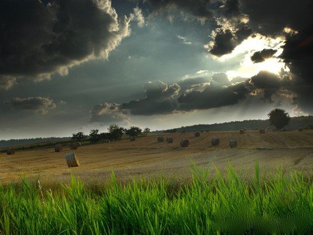 ANGRY CLOUDS - objects, clouds, dark, windy, grass