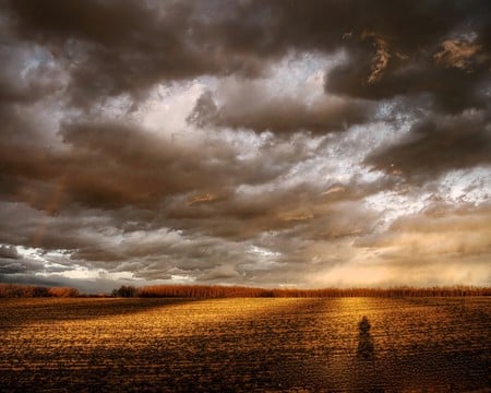 GOLDEN FIELD - dark, sun, clouds, golden, field, shine