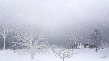 Looking Out on Winter - widescreen, trees, winter, snow, firefox persona