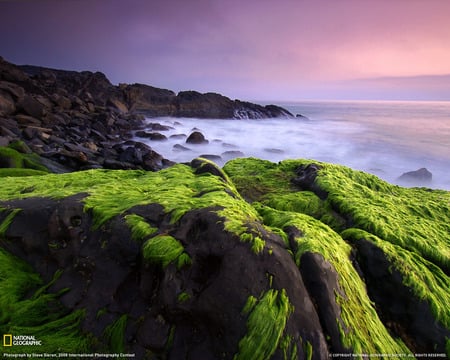 Santa Monica Shore - shores, nature, scenery, national geographic, beaches, landscape, rocks