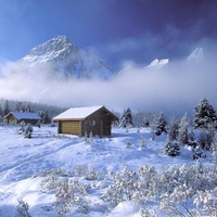 Winter Scenery