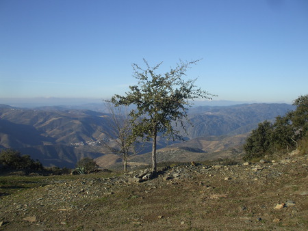 Paisagem Seixas - Portugal - ceu, landscape, mountain, tree, portugal, paisagem, arvore, nature, natureza, montanha, seixas, sky