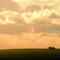 WORKING UNDER GOLDEN SKY