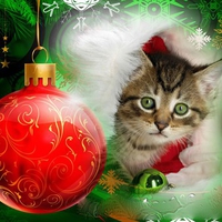 CHRISTMAS KITTY CAT