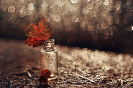 Leaf in a jar - drops, water, bokeh, leaf, autumn