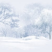 Soft Winter