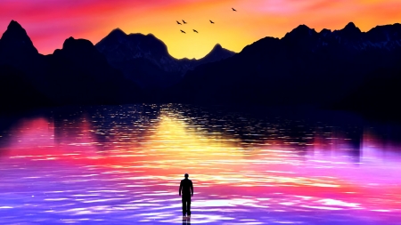 :-) - bird, unset, water, summer, blue, silhouette, pink, orange, man, fantasy, martin knight, vara, luminos