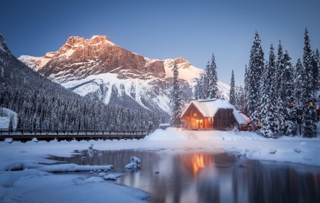 Winter forest - lake, forest, canada, mountain, snow