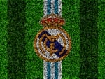 Real Madrid C.F.