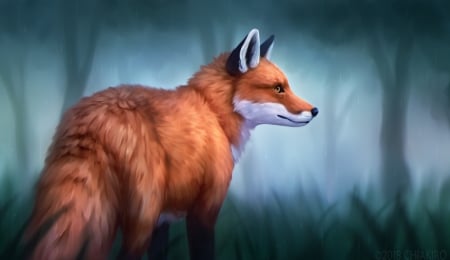 Fox - animal, fantasy, orange, vulpe, chakiro, fox