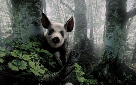 :D - pig, funny, creative, fantasy, white, chinese zodiac, forest, porc, panda, green