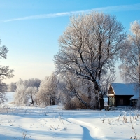 Winter village