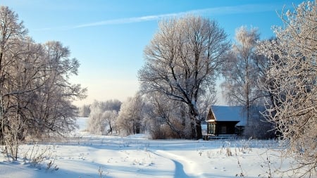 Winter village - village, home, russia, snow, winter, field