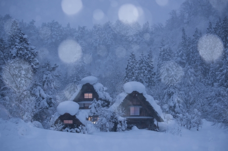 Winter cottages - trees, forest, japan, snow, cottages