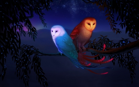 * - stars, owls, branch, water, mountains, fire, birds