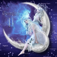 Gemini Twins