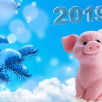 Happy New Year!