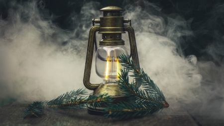 * - spruce, lamp, branch, smoke