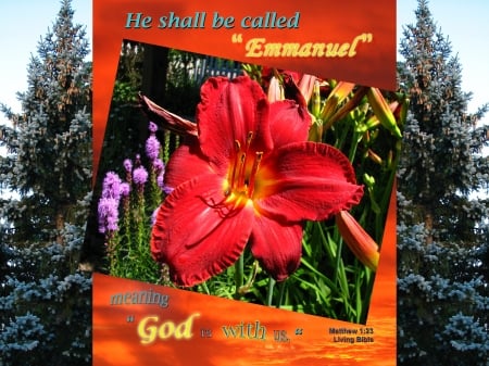 God is With Us - flowers, inspirational, trees, Bible