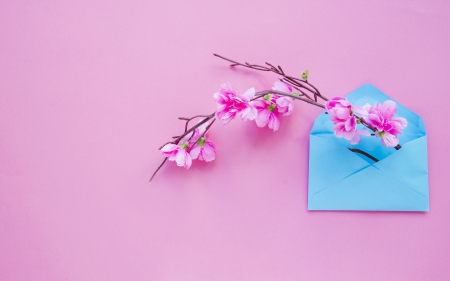 :-) - blue, valentine, letter, spring, mother, flower, day, pink