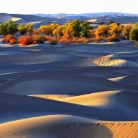 Sand dunes