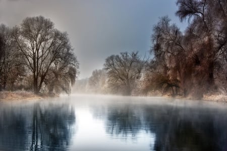 Winter Morning - reflection, river, trees, ice, mist