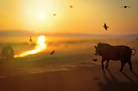 :-) - pig, bird, animal, sunset, boar, silhouette, orange