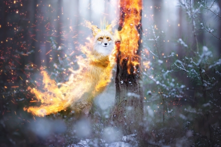 FireFox - frumusete, vulpe, fantasy, fire, 0l fox 0l, fox, forest, luminos