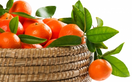 Mandarines - basket, mandarine, fruit, orange, leaf