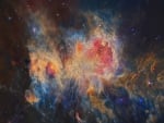 The Orion Nebula in Infrared from WISE