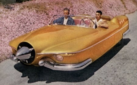 1953 manta ray - car, man, manta, ray, flowers