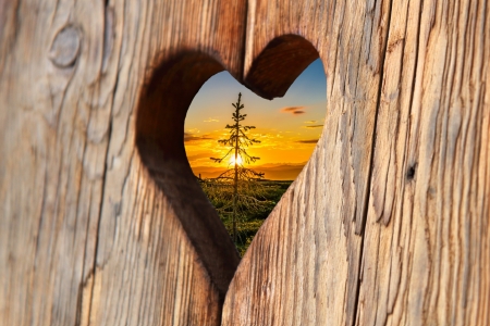 :-) - sunset, heart, wood, orange, card, tree, sky