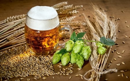 Beer - drink, beer, bowl, grain, hop