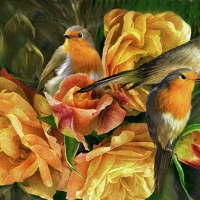 robins and roses