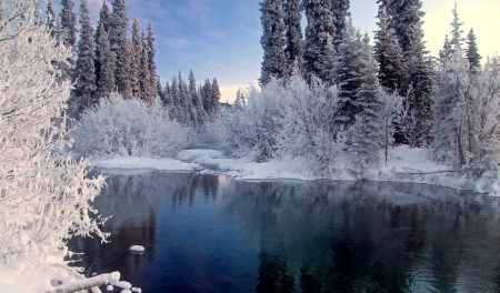 Winter frost - lake, winter, cold, reflection, frost, snow, beautiful, river, pond