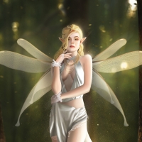 Fairy