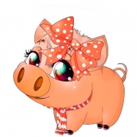 Year of the Pig
