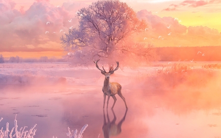 :) - fantasy, winter, deer, mist, iarna, pink, sun