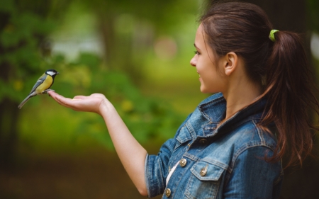 :) - woman, pitigoi, girl, jeans, blue tit, bird, pasari, blue, hand