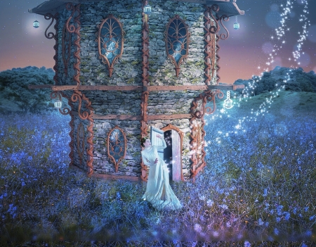 :) - annewipf, fantasy, blue, tower, girl, flower, luminos