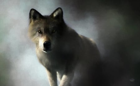 Portrait of a wolf - wolf, fantasy, deskridge, lup