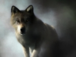 Portrait of a wolf