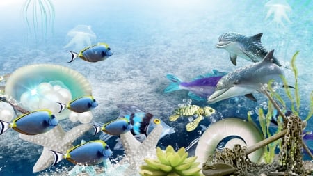 Under Water - water, sea shells, dolphin, under water, sea, ocean, fish