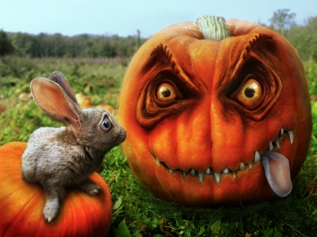 Creepy Halloween Pumpkin - rabbit, creepy, pumpkin, orange, weird