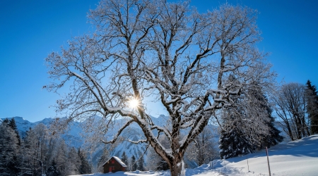 Winter in Switzerland - house, winter, beautiful, Switzerland, snow, mountain, sun, sky