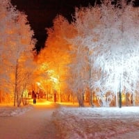 Light Golden Walking Snow