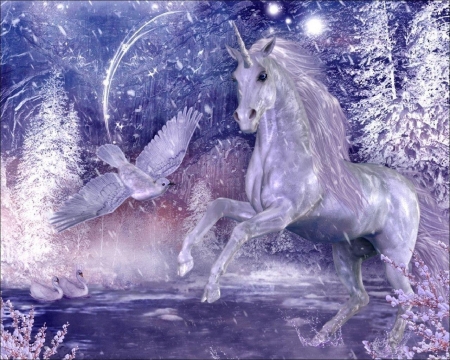 Unicorn's World - moon, bird, winter, stars, horse